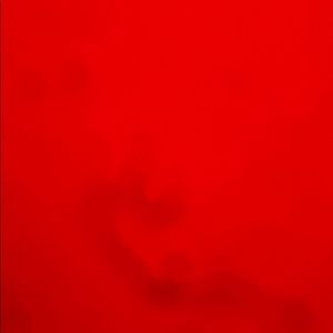 Meet your Posher, Gabriel